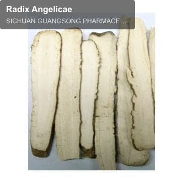 Radix Angelicae