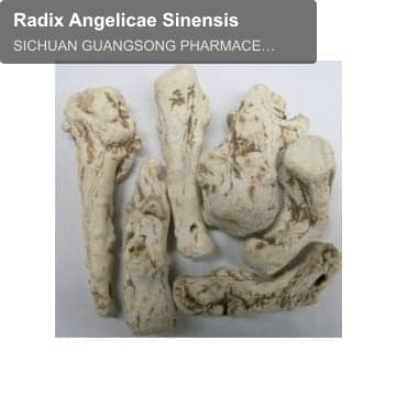 Radix Angelicae Sinensis