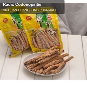 Radix Codonopsitis
