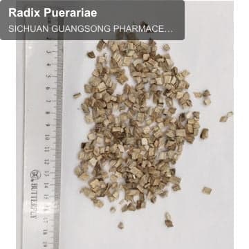 Radix Puerariae