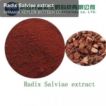Radix Salviae extract
