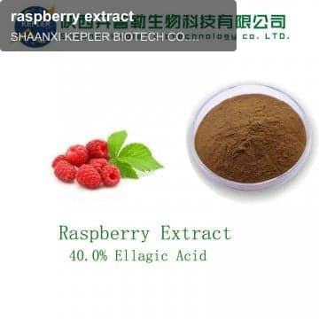 raspberry extract