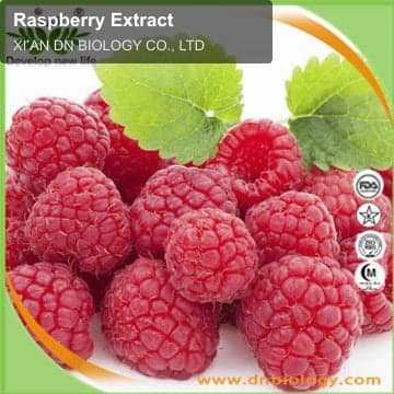 Raspberry Extract