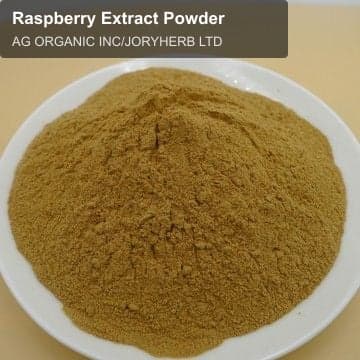 Raspberry Extract Powder