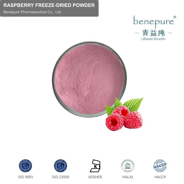 RASPBERRY FREEZE-DRIED POWDER