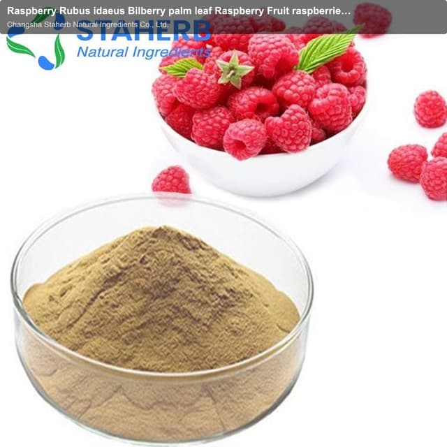Raspberry Rubus idaeus Bilberry palm leaf Raspberry Fruit raspberries extract