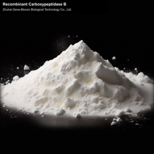 Recombinant Carboxypeptidase B