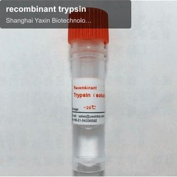 recombinant trypsin
