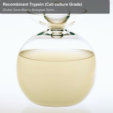 Recombinant Trypsin (Cell culture Grade)