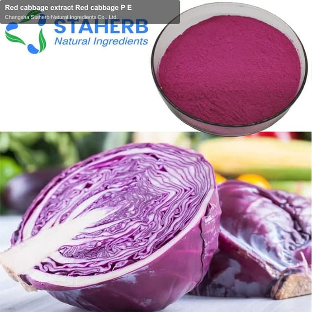 Red cabbage extract Red cabbage P E
