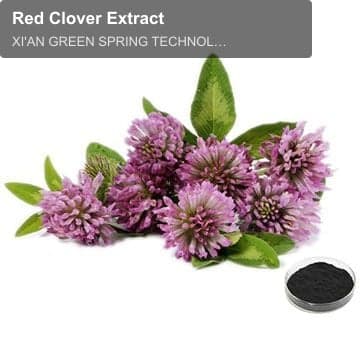 Red Clover Extract