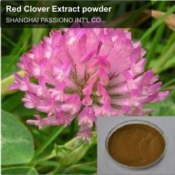 Red Clover Extract powder