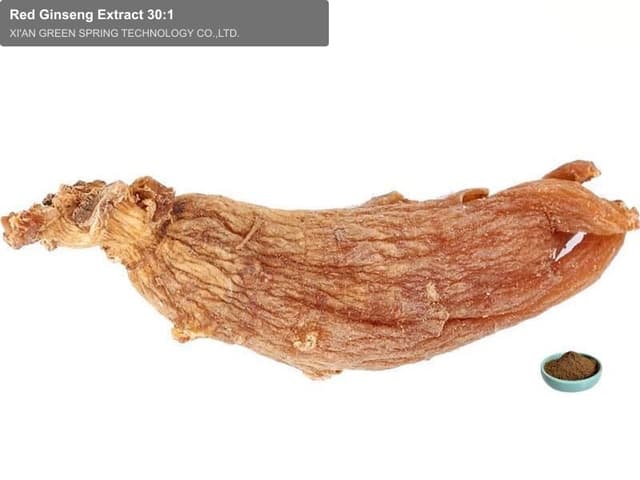 Red Ginseng Extract 30:1