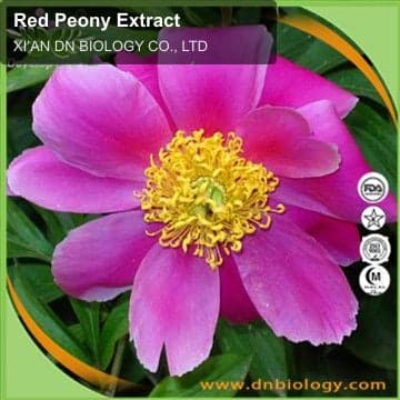 Red Peony Extract