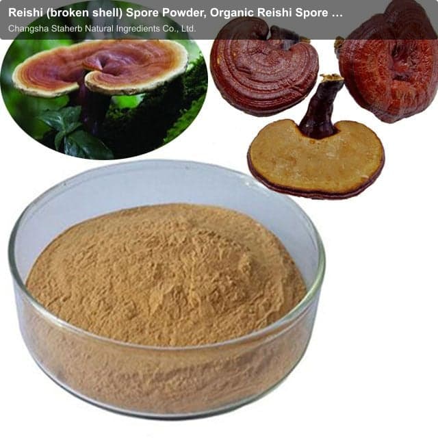 Reishi (broken shell) Spore Powder, Organic Reishi Spore Powder
