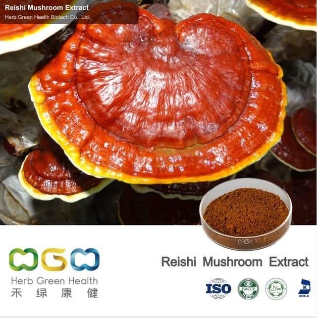 Reishi Mushroom Extract
