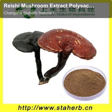 Reishi Mushroom Extract Polysaccharides 10-50% UV / Promote cardiovascular health