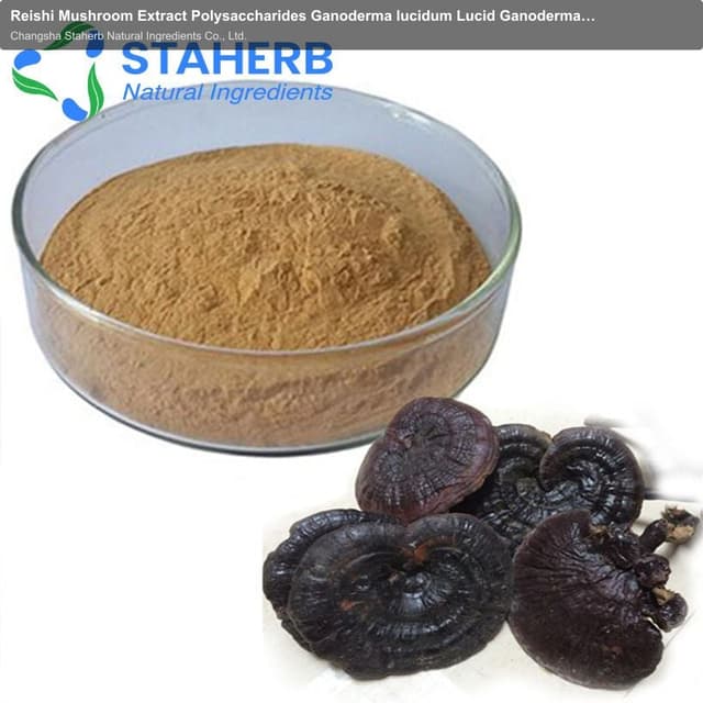 Reishi Mushroom Extract Polysaccharides Ganoderma lucidum Lucid Ganoderma lingzhi extract