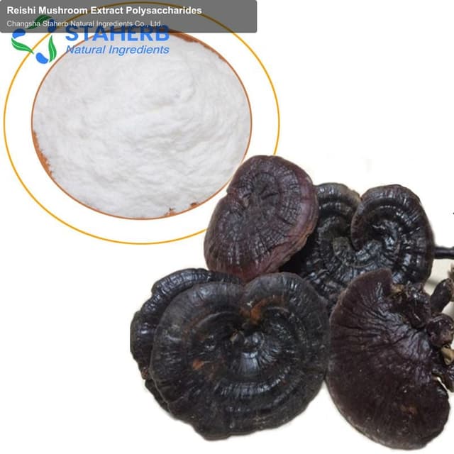 Reishi Mushroom Extract Polysaccharides