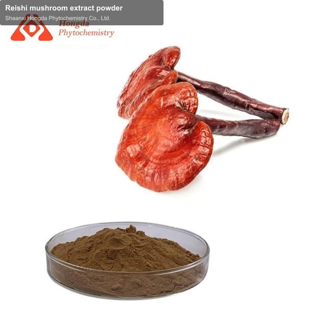 Reishi mushroom extract powder