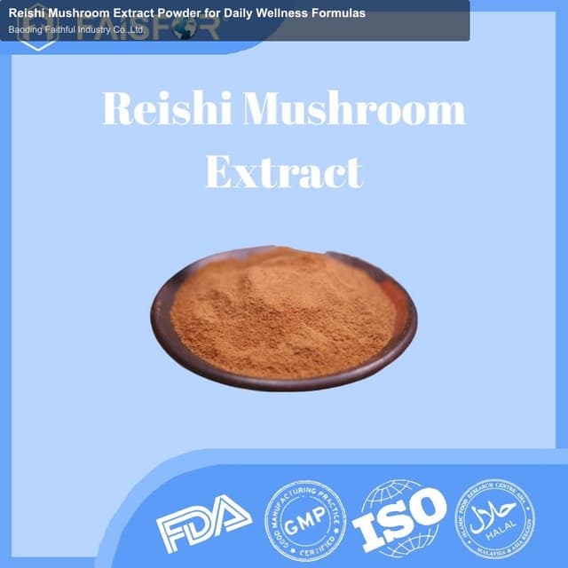 Reishi Mushroom Extract Powder for Daily Wellness Formulas