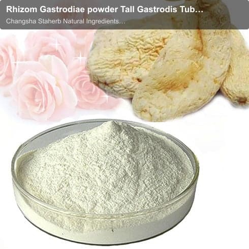 Rhizom Gastrodiae powder Tall Gastrodis Tuber powder Gastrodia Rhizoma powder