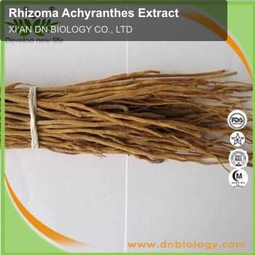 Rhizoma Achyranthes Extract