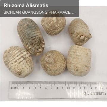 Rhizoma Alismatis