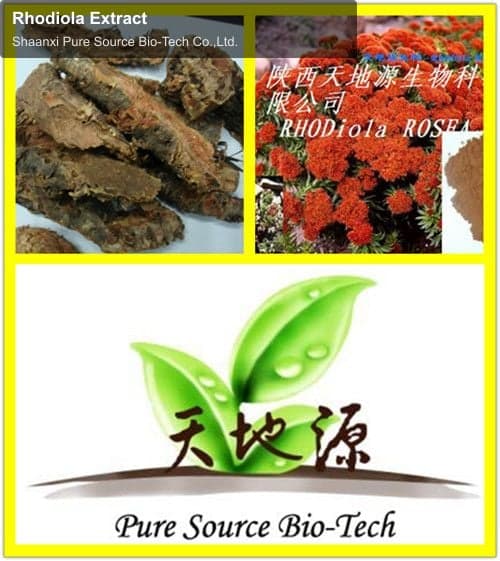 Rhodiola Extract