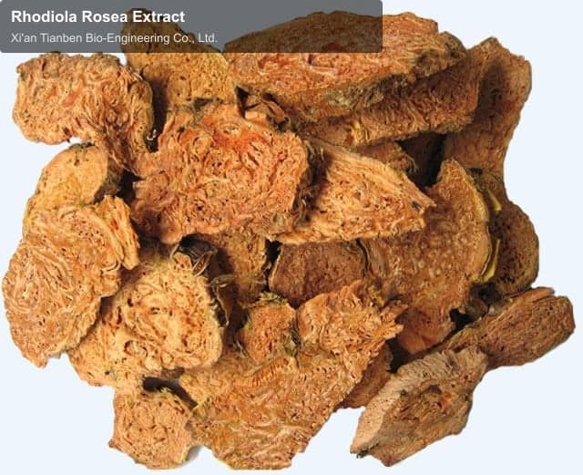 Rhodiola Rosea Extract