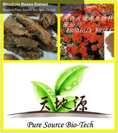 Rhodiola Rosea Extract