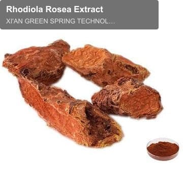 Rhodiola Rosea Extract