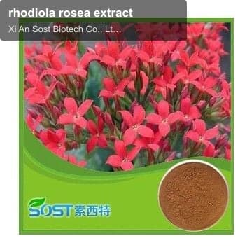 rhodiola rosea extract