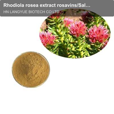 Rhodiola rosea extract rosavins/Salidroside