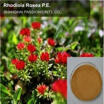 Rhodiola Rosea P.E.