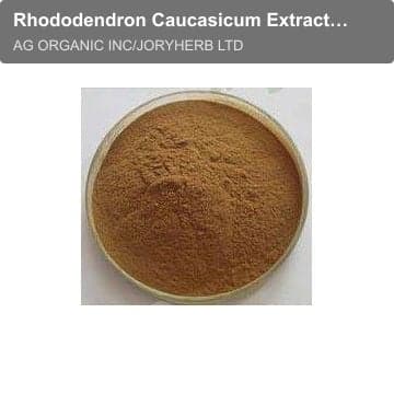 Rhododendron Caucasicum Extract Powder