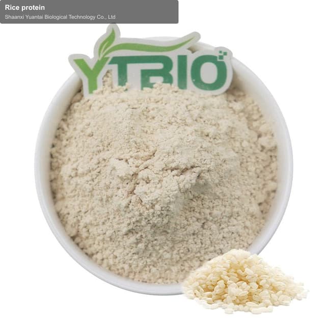 Rice protein