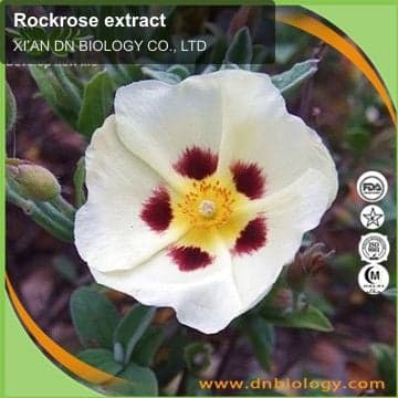 Rockrose extract