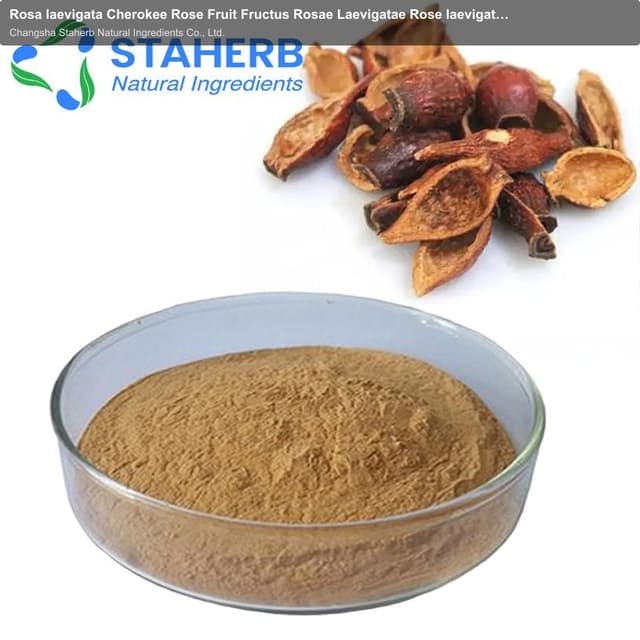 Rosa laevigata Cherokee Rose Fruit Fructus Rosae Laevigatae Rose laevigata Michx extract