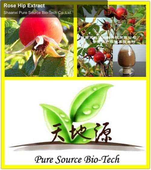 Rose Hip Extract