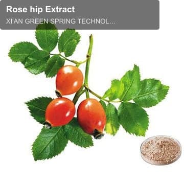 Rose hip Extract