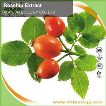 Rosehip Extract