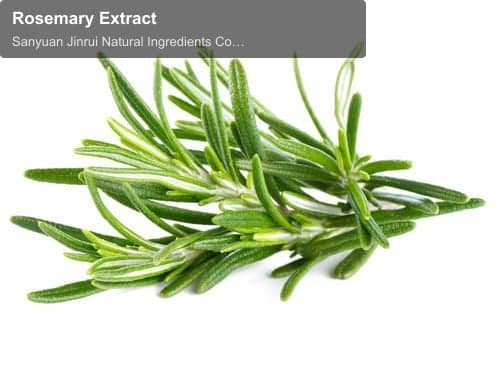 Rosemary Extract