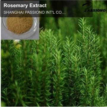 Rosemary Extract