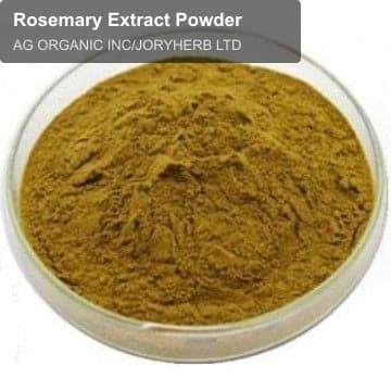 Rosemary Extract Powder