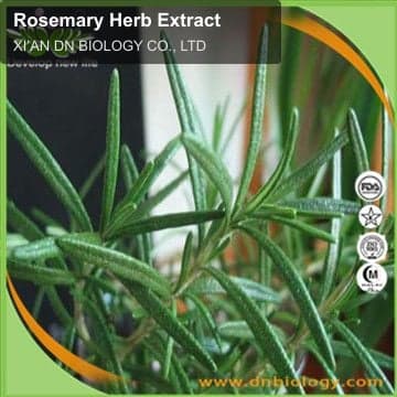 Rosemary Herb Extract