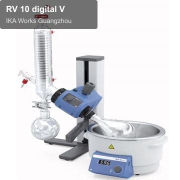 RV 10 digital V