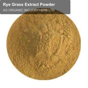 Rye Grass Extract Powder