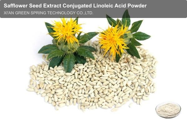 Safflower Seed Extract Conjugated Linoleic Acid Powder