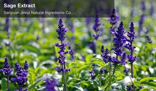 Sage Extract